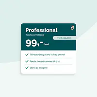 Omstilling - Binding: 36 mdr., Niveau: Professional